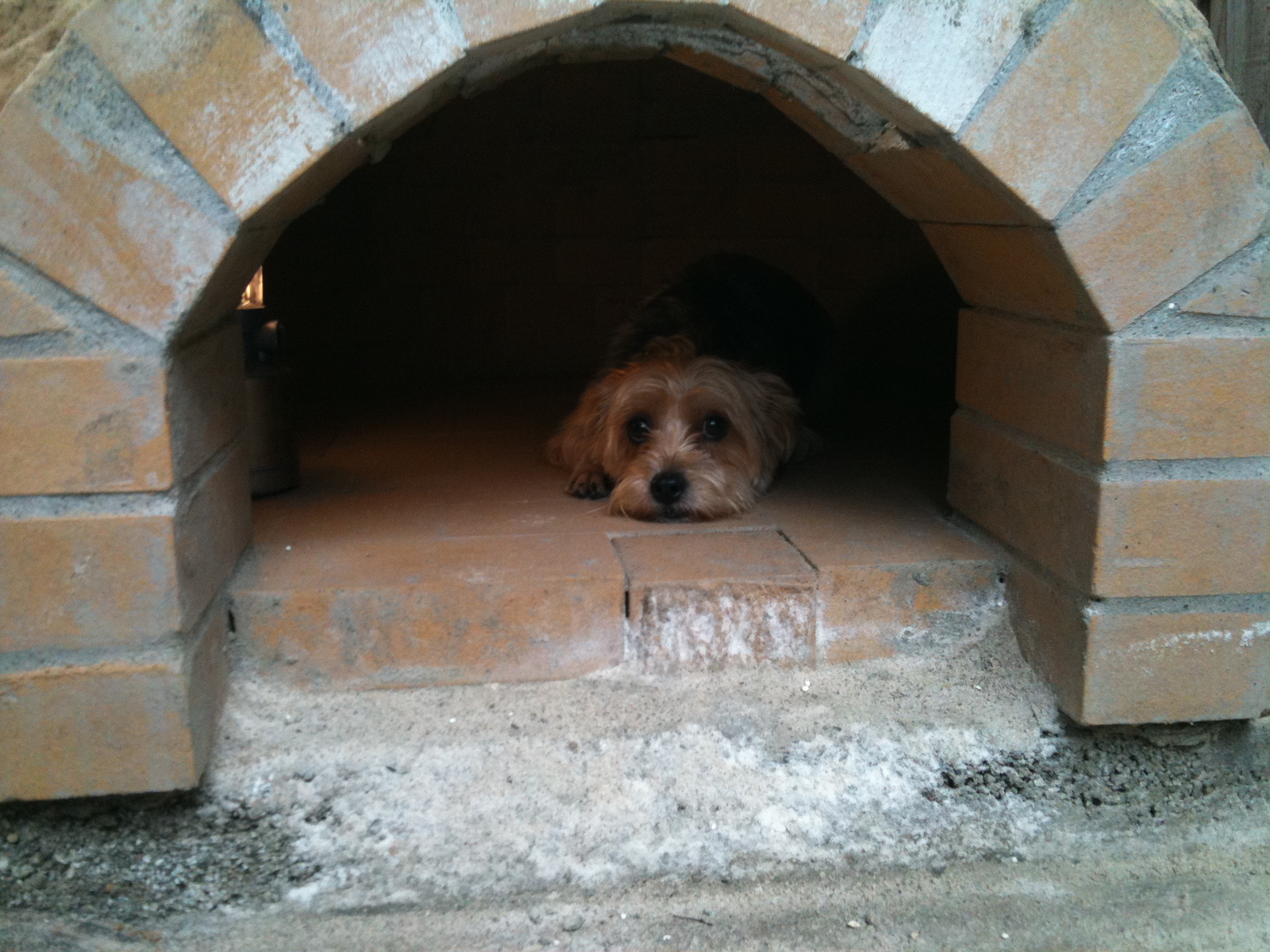 Brazilian BBQ Pit and 36" Pompeii combo Forno Bravo Forum The Wood