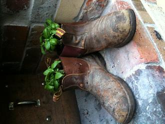 Click image for larger version

Name:	IMG_0264.JPG
Views:	253
Size:	1.19 MB
ID:	355596