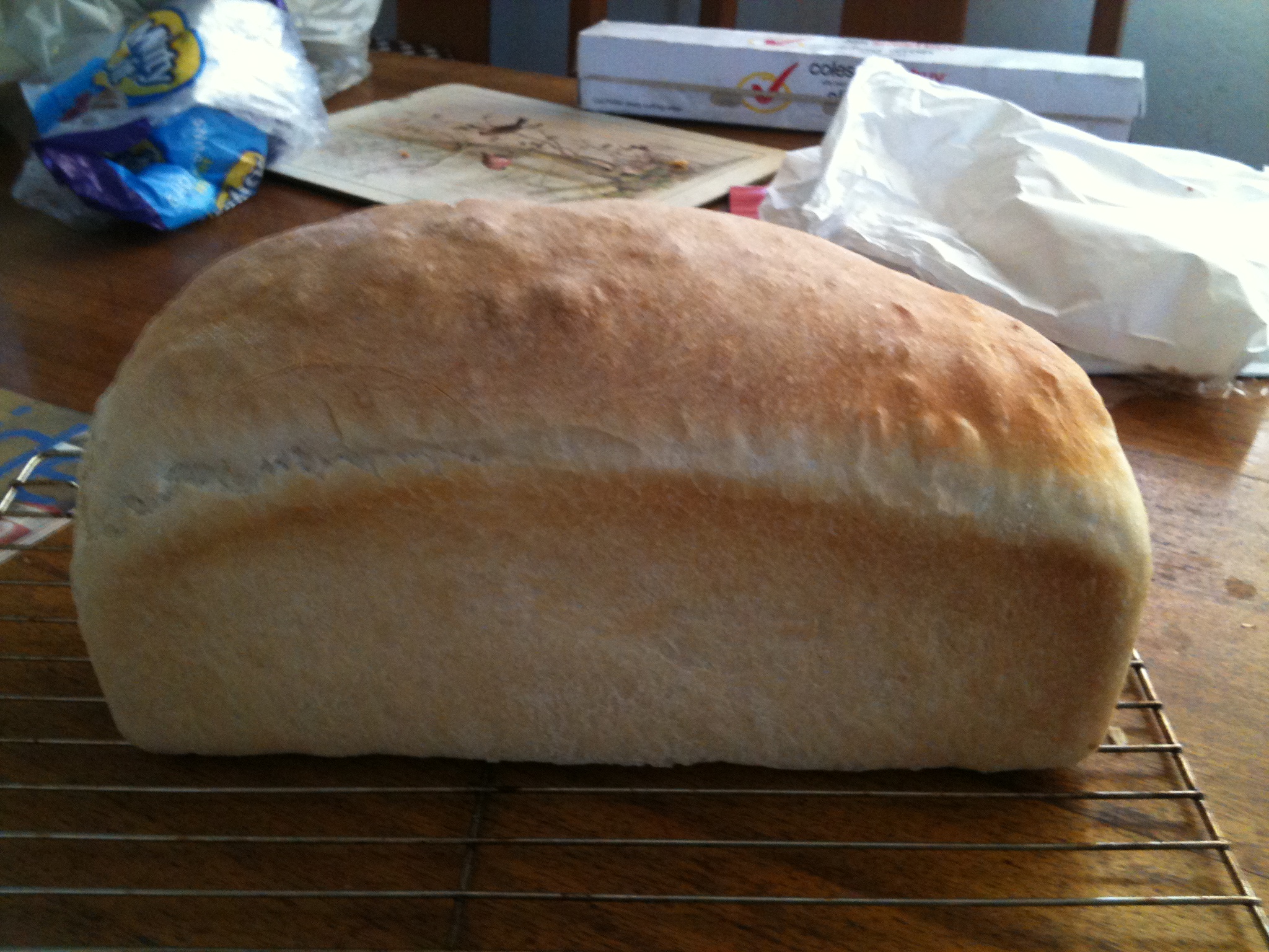 Click image for larger version  Name:	bread.jpg Views:	2 Size:	1.12 MB ID:	286094