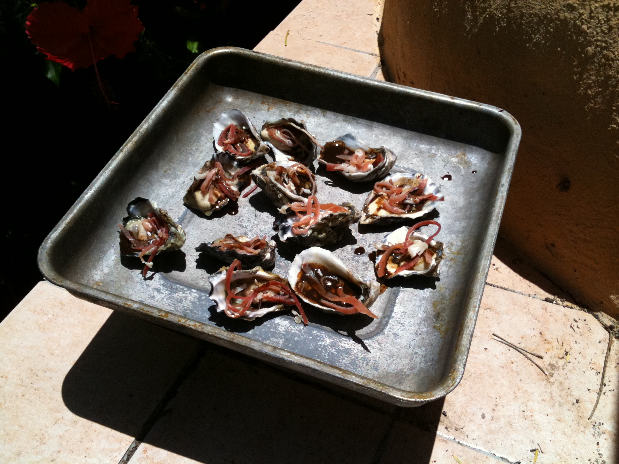 Click image for larger version  Name:	oysters.jpg Views:	1 Size:	1.11 MB ID:	287713