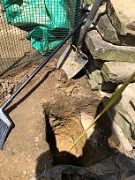 Click image for larger version

Name:	IMG_2531.jpg
Views:	533
Size:	151.7 KB
ID:	423786