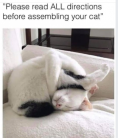 Click image for larger version

Name:	DF2AAC46-1B21-438C-970B-D073251F4DC3.png
Views:	502
Size:	28.2 KB
ID:	429958