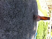 Click image for larger version

Name:	85A Vent in Dome 5.3.13.JPG
Views:	250
Size:	538.6 KB
ID:	461037