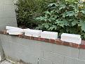 Click image for larger version

Name:	Insulation around chimney transition.jpg
Views:	133
Size:	787.1 KB
ID:	461949