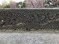 IMG_4659.JPG