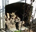 Click image for larger version

Name:	DSCN0029.JPG
Views:	578
Size:	580.2 KB
ID:	435749