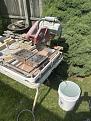 Click image for larger version

Name:	IMG_0887 Medium.jpg
Views:	28
Size:	114.0 KB
ID:	466347