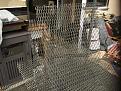 Will use stainless mesh instead of chicken wire just because I have it left over from previous work