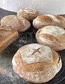A batch of sourdough loafs.