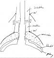 Proposed double-walled detachable connection